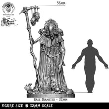 Load image into Gallery viewer, Dread Necromancer | Deadmire | Bestiarum | Miniatures D&amp;D Wargaming DnD