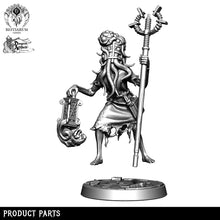 Load image into Gallery viewer, Arcane Attendants | Tower of Madness | Bestiarum | Miniatures D&amp;D Wargaming DnD