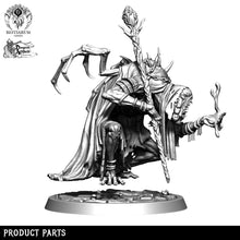 Load image into Gallery viewer, Abhorrent Mage | The Abhorrents | Bestiarum | Miniatures D&amp;D Wargaming DnD