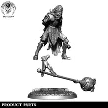 Load image into Gallery viewer, Lion Mask Knight | House Lionheart | Bestiarum | Miniatures D&amp;D Wargaming DnD