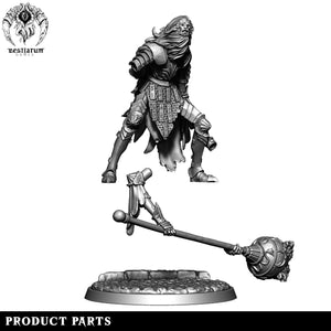 Lion Mask Knight | House Lionheart | Bestiarum | Miniatures D&D Wargaming DnD