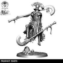 Load image into Gallery viewer, Praetor | Eternal Legions | Bestiarum | Miniatures D&amp;D Wargaming DnD