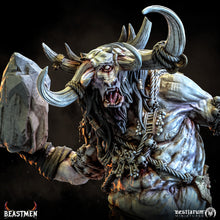 Load image into Gallery viewer, Cyrox | Beastmen | Bestiarum | Miniatures D&amp;D Wargaming DnD