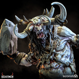 Cyrox | Beastmen | Bestiarum | Miniatures D&D Wargaming DnD