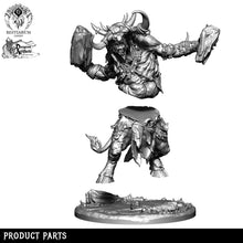 Load image into Gallery viewer, Cyrox | Beastmen | Bestiarum | Miniatures D&amp;D Wargaming DnD