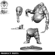 Load image into Gallery viewer, Ettin Younglings | Accursed Ettin | Bestiarum | Miniatures D&amp;D Wargaming DnD