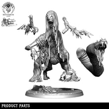 Load image into Gallery viewer, Nightmare Chimera | Tower of Madness | Bestiarum | Miniatures D&amp;D Wargaming DnD