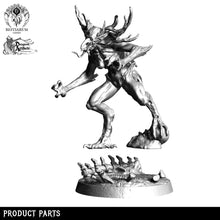 Load image into Gallery viewer, Kikimora | Dark Forest | Bestiarum | Miniatures D&amp;D Wargaming DnD