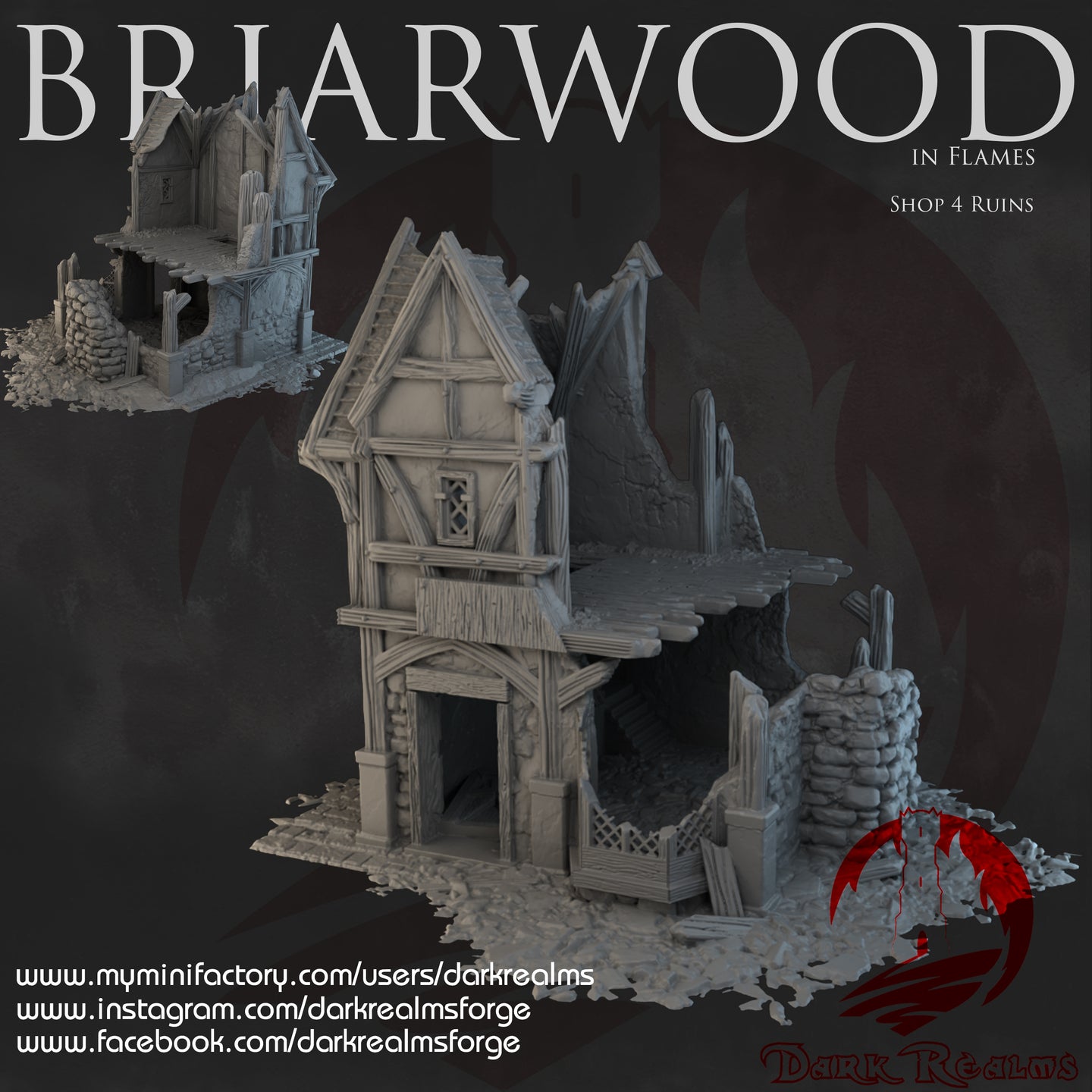 Shop 4 Ruins - Briarwood - Dark Realms Terrain Wargaming D&D DnD