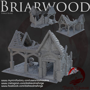 Forge Ruin - Briarwood - Dark Realms Terrain Wargaming D&D DnD