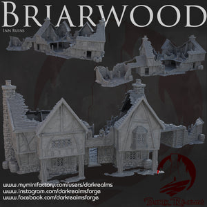 Leaping Frog Inn Ruin - Briarwood - Dark Realms Terrain Wargaming D&D DnD