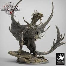 Load image into Gallery viewer, Blood Dragons - Order Immortalis - Rescale Miniatures - Wargaming D&amp;D DnD