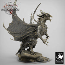 Load image into Gallery viewer, Blood Dragons - Order Immortalis - Rescale Miniatures - Wargaming D&amp;D DnD