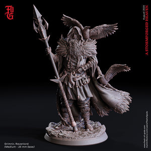 Grimnir, Ravenlord - A Stormforged Heaven - Flesh of Gods - Wargaming D&D DnD