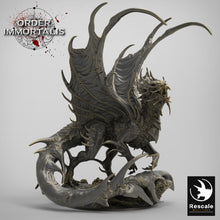 Load image into Gallery viewer, Blood Dragons - Order Immortalis - Rescale Miniatures - Wargaming D&amp;D DnD