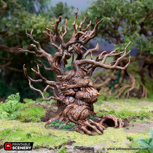 Old Man Warrick - Hagglethorn Hollow - Printable Scenery Wargaming D&D DnD 28mm 32mm 40mm