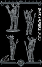 Load image into Gallery viewer, Dark Sacrifice Druid - Rocket Pig Wargaming D&amp;D DnD